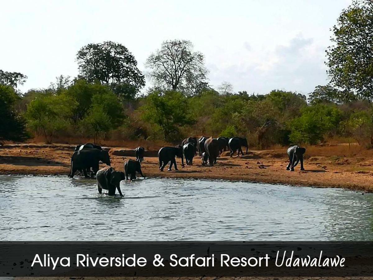 Aliya Riverside & Safari Resort Udawalawe Exterior foto