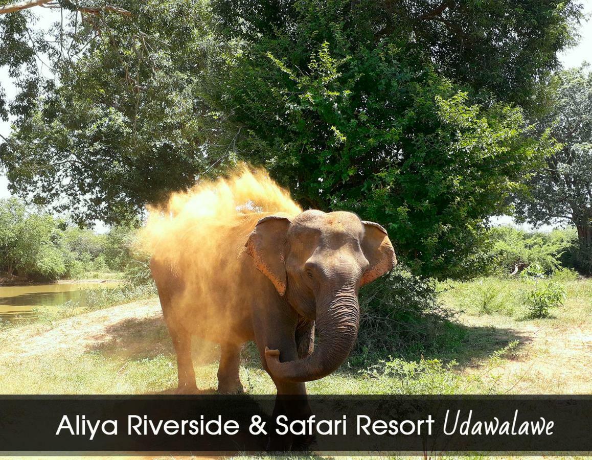Aliya Riverside & Safari Resort Udawalawe Exterior foto