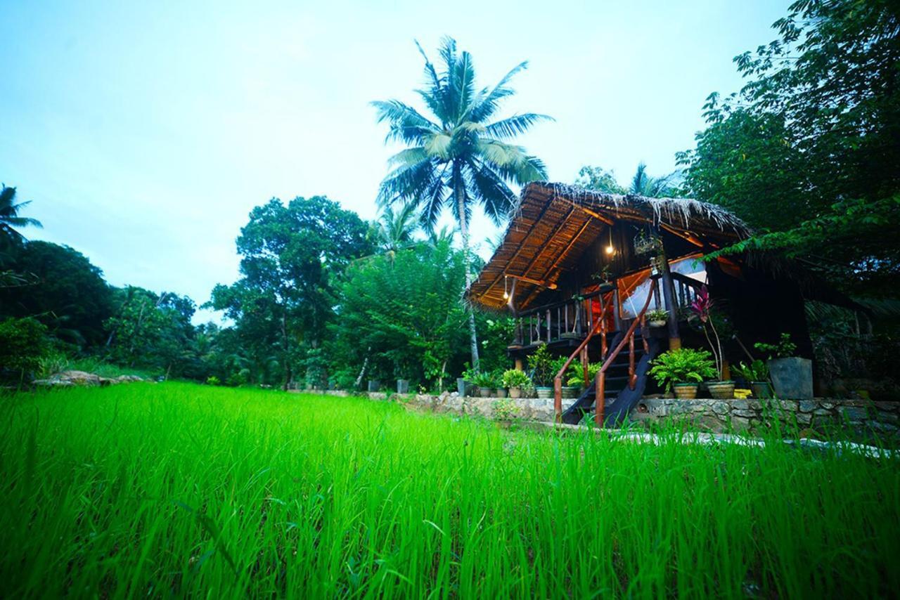 Aliya Riverside & Safari Resort Udawalawe Exterior foto
